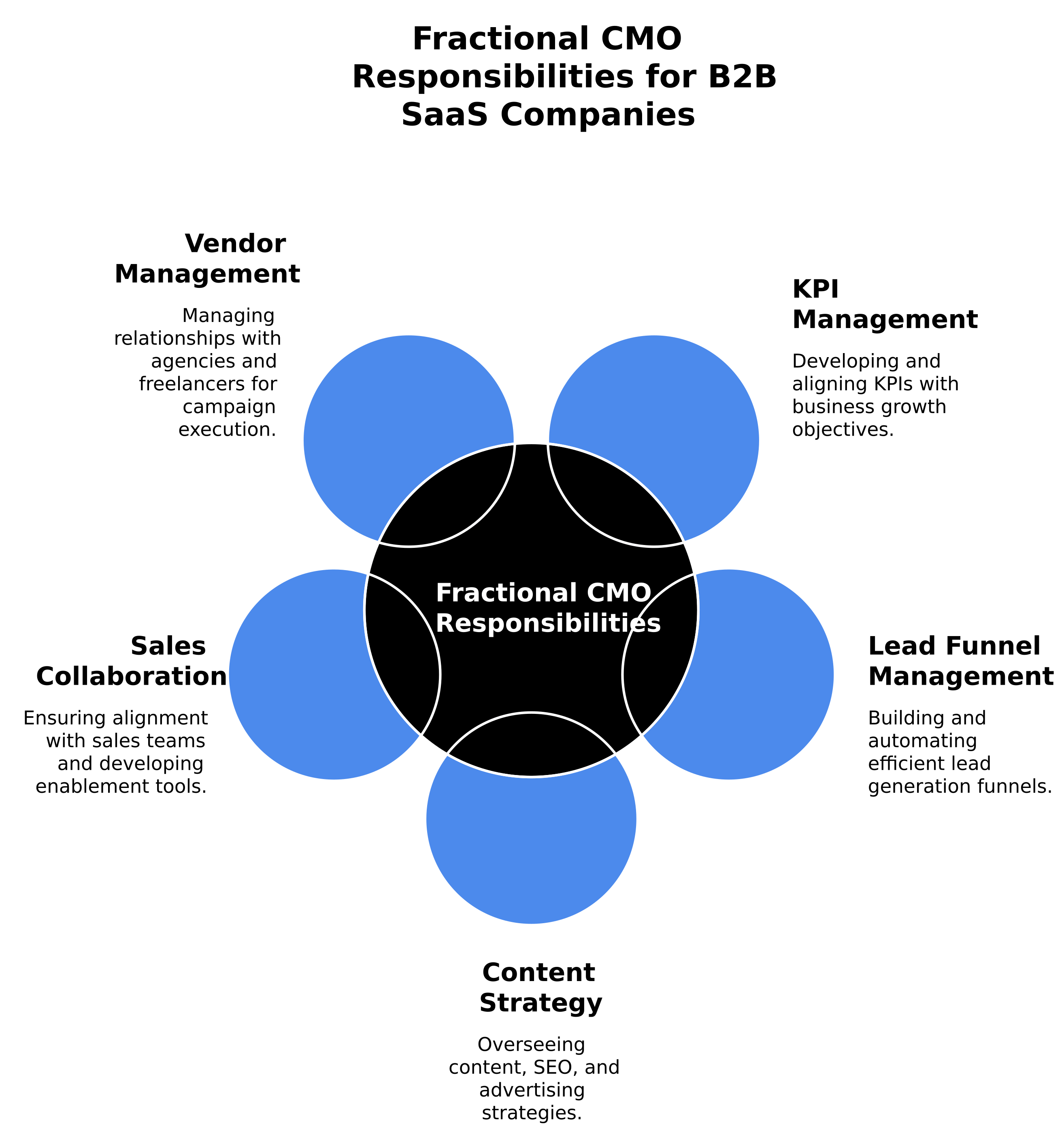 Do I need a fractional CRO for my B2B SaaS company in 2027?